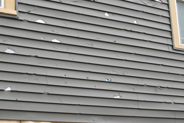 Best Wood Siding Installation  in Gary, IN