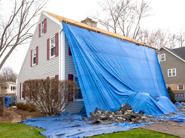 Best Stone Veneer Siding  in Gary, IN